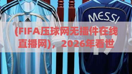 (FIFA压球网无插件在线直播网)，2026年看世界杯预选赛还用装插件？