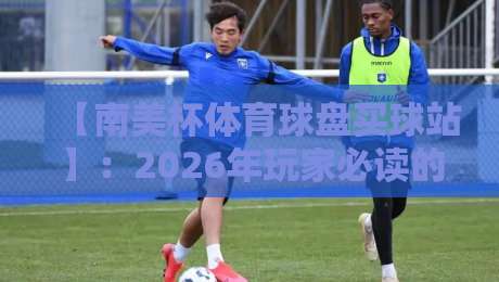 【南美杯体育球盘买球站】:2026年玩家必读的操作指南与风险提示 【南美杯体育球盘买球站】:2026年玩家必读的操作指南与风险提示