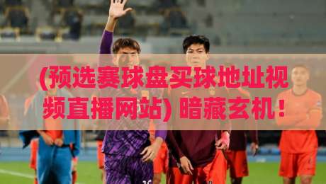 (预选赛球盘买球地址视频直播网站) 暗藏玄机!2026年球迷必看的避坑指南与安全观赛攻略 (预选赛球盘买球地址视频直播网站) 暗藏玄机!2026年球迷必看的避坑指南与安全观赛攻略