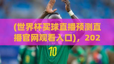 (世界杯买球直播预测直播官网观看入口),2026年球迷必看的入口指南 (世界杯买球直播预测直播官网观看入口),2026年球迷必看的入口指南