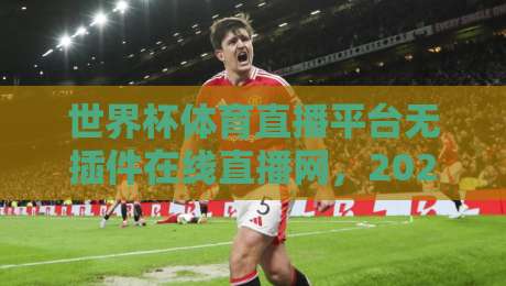 世界杯体育直播平台无插件在线直播网,2026年看球新姿势? 世界杯体育直播平台无插件在线直播网,2026年看球新姿势?