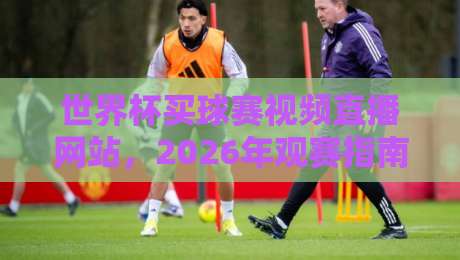 世界杯买球赛视频直播网站，2026年观赛指南与避坑干货