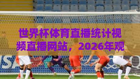 世界杯体育直播统计视频直播网站，2026年观赛新体验全面升级