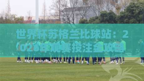世界杯苏格兰比球站：2026年观赛投注全攻略(新手必读)