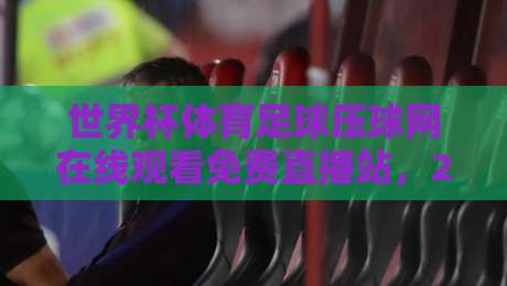 世界杯体育足球压球网在线观看免费直播站，2026年球迷终极观赛指南