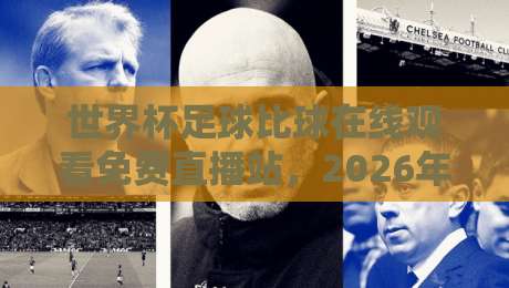 世界杯足球比球在线观看免费直播站，2026年球迷的观赛新姿势！