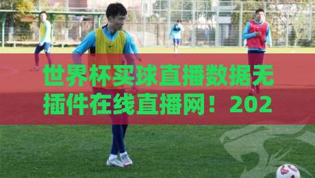 世界杯买球直播数据无插件在线直播网！2026年球迷的终极观赛指南来了