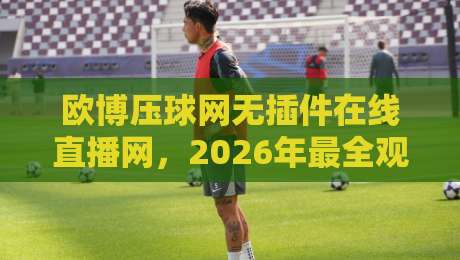 欧博压球网无插件在线直播网，2026年最全观赛指南【欧博压球网】