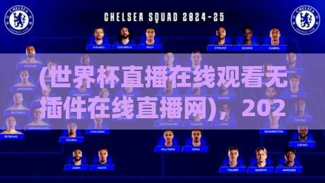 (世界杯直播在线观看无插件在线直播网)，2026年最省心的观赛通道