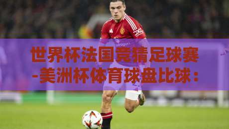 世界杯法国竞猜足球赛-美洲杯体育球盘比球：2026年竞猜玩家必看策略
