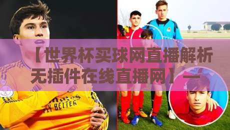 【世界杯买球网直播解析无插件在线直播网】——2026年球迷必备的观赛指南