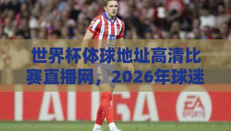世界杯体球地址高清比赛直播网,2026年球迷必备的观赛神器 世界杯体球地址高清比赛直播网,2026年球迷必备的观赛神器
