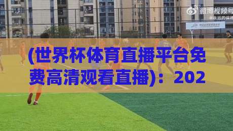 (世界杯体育直播平台免费高清观看直播)：2026年看球指南，这些平台真香