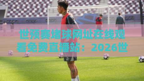 世预赛堵球网址在线观看免费直播站:2026世界杯预选赛观赛指南与避坑手册 世预赛堵球网址在线观看免费直播站:2026世界杯预选赛观赛指南与避坑手册