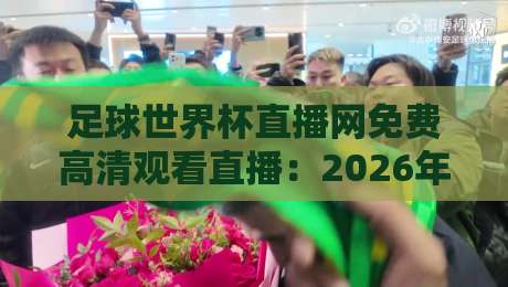 足球世界杯直播网免费高清观看直播：2026年全球球迷的避坑指南来了！