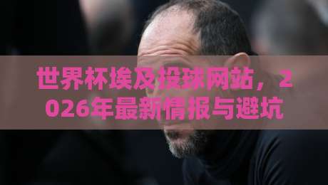 世界杯埃及投球网站，2026年最新情报与避坑指南