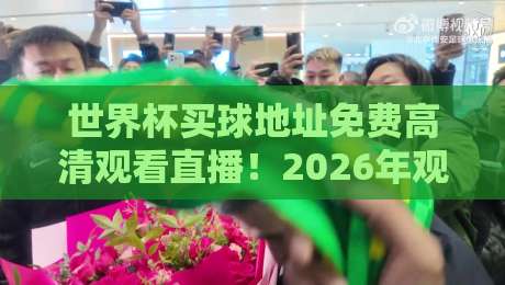 世界杯买球地址免费高清观看直播！2026年观赛攻略与避坑指南【世界杯买球地址】
