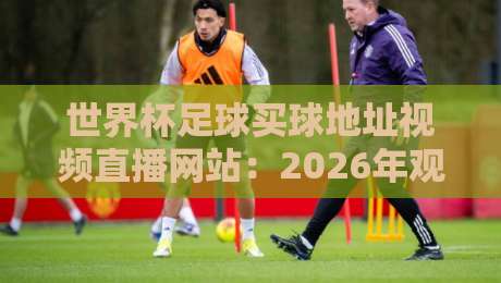 世界杯足球买球地址视频直播网站：2026年观赛与投注指南