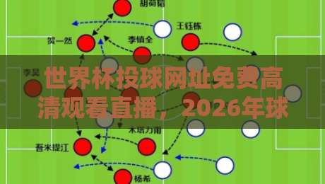 世界杯投球网址免费高清观看直播，2026年球迷必看的三大观赛渠道