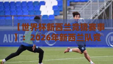 【世界杯新西兰竞猜赛事】：2026年新西兰队竞猜全攻略（含赔率分析）