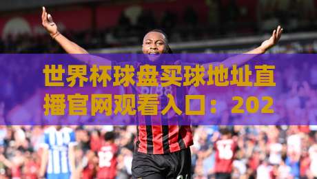 世界杯球盘买球地址直播官网观看入口:2026年球迷必看防坑指南