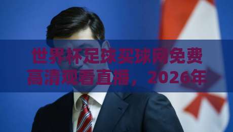 世界杯足球买球网免费高清观看直播，2026年球迷必备指南