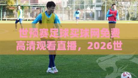 世预赛足球买球网免费高清观看直播,2026世预赛观赛指南与实战避坑