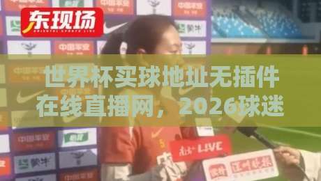 世界杯买球地址无插件在线直播网,2026球迷必看的观赛攻略