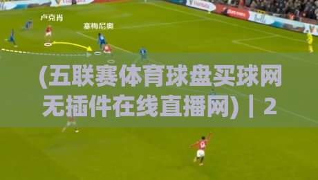 (五联赛体育球盘买球网无插件在线直播网)|2026观赛新选择:零卡顿五大联赛实时追踪