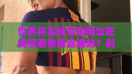 世界杯买球竞猜网址在线观看免费直播站?别踩坑,2026年球迷必看指南!
