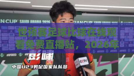 世预赛足球比球在线观看免费直播站，2026年球迷首选平台推荐！