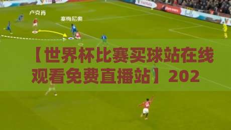 【世界杯比赛买球站在线观看免费直播站】2026年观赛指南：这些平台才靠谱