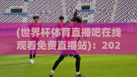 (世界杯体育直播吧在线观看免费直播站)：2026年看球新姿势，别再花钱买会员了！