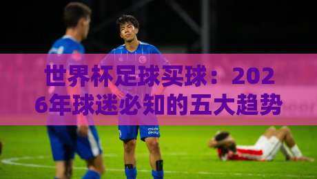 世界杯足球买球:2026年球迷必知的五大趋势与避坑指南 世界杯足球买球:2026年球迷必知的五大趋势与避坑指南