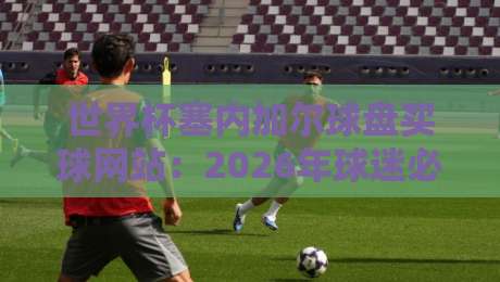 世界杯塞内加尔球盘买球网站：2026年球迷必看的投注平台指南