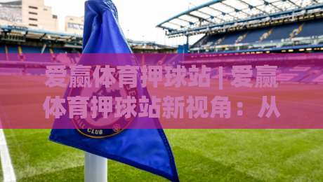 爱赢体育押球站 | 爱赢体育押球站新视角：从赛事数据流看互动体验的进化路径-线上十大最稳堵球站投注录像回放策略波胆积分榜超清