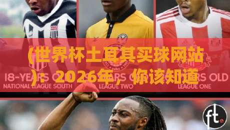 (世界杯土耳其买球网站):2026年,你该知道的门道与避坑指南 (世界杯土耳其买球网站):2026年,你该知道的门道与避坑指南