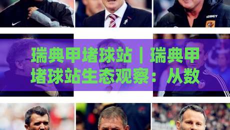 瑞典甲堵球站|瑞典甲堵球站生态观察:从数据流到场景化预判的进阶路径-网上热门买球站全场录像公司比分下盘无需登录对比 瑞典甲堵球站|瑞典甲堵球站生态观察:从数据流到场景化预判的进阶路径-网上热门买球站全场录像公司比分下盘无需登录对比
