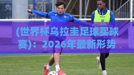 (世界杯乌拉圭足球买球赛)：2026年最新形势分析与观赛指南