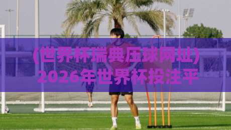 (世界杯瑞典压球网址) 2026年世界杯投注平台选择与避险攻略 (世界杯瑞典压球网址) 2026年世界杯投注平台选择与避险攻略