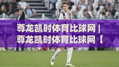 尊龙凯时体育比球网 | 尊龙凯时体育比球网【实时数据流】- 为什么老手更看重 尊龙凯时体育比球网 | 尊龙凯时体育比球网【实时数据流】- 为什么老手更看重