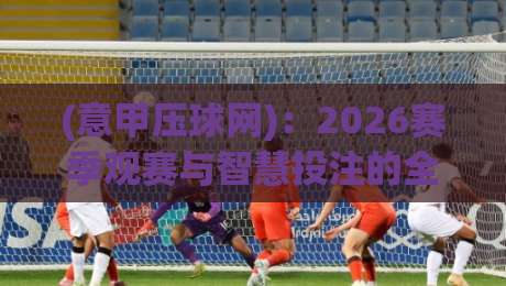 (意甲压球网):2026赛季观赛与智慧投注的全新打开方式 (意甲压球网):2026赛季观赛与智慧投注的全新打开方式
