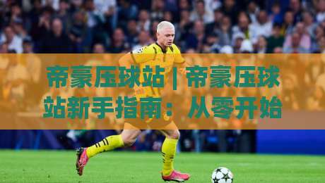 帝豪压球站 | 帝豪压球站新手指南：从零开始了解这个互动社区的核心玩法-线上十大最稳押球网推荐直播源不卡顿在线观看初盘全场回放