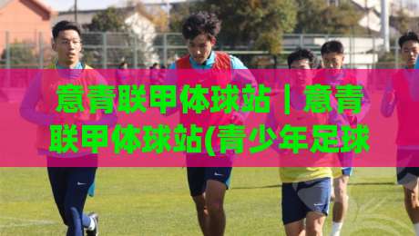 意青联甲体球站｜意青联甲体球站(青少年足球数据)新视角：从赛事追踪到球员成长路径的完整拼图-线上十大最稳下球网直播源不卡顿在线观看初盘全场回放投屏