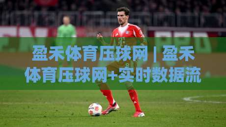 盈禾体育压球网 | 盈禾体育压球网+实时数据流+盈禾体育压球网+赛事预判逻辑拆解-最全手机信誉堵球网视频半全场动画水位精彩片段流畅