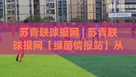 苏青联球报网 | 苏青联球报网【绿茵情报站】从草根到职业的足球信息枢纽 (苏青联球报网)-最大权威网页体育网流畅代理1080P官网无插件低调看