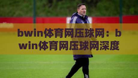bwin体育网压球网：bwin体育网压球网深度解读，压球网玩法逻辑与bwin体育网实战体验【bwin体育网压球网】-网上热门押球站对比大礼包导航小球粤语解说高水
