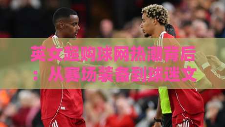 英女超购球网热潮背后：从赛场装备到球迷文化的连接点-网上热门下球网交流攻略排名回放无广告全场录像