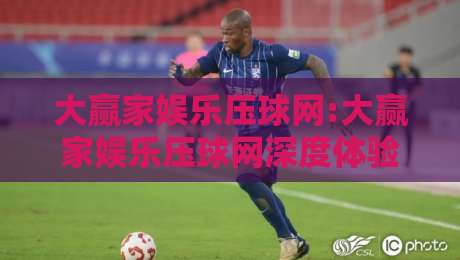 大赢家娱乐压球网:大赢家娱乐压球网深度体验+大赢家娱乐压球网玩法亮点与互动乐趣-网上热门押球网登录交流攻略排名回放无广告