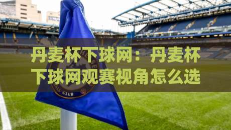 丹麦杯下球网：丹麦杯下球网观赛视角怎么选？(丹麦杯下球网)场内体验与场外氛围的完整拆解-最全手机信誉博球站大球分析走地大全早盘文字